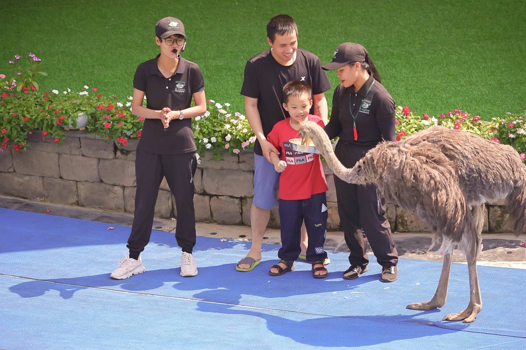 Du khách trải nghiệm chương trình Vũ điệu chim trời tại Tổ hợp vui chơi giải trí Sun world Hạ Long.