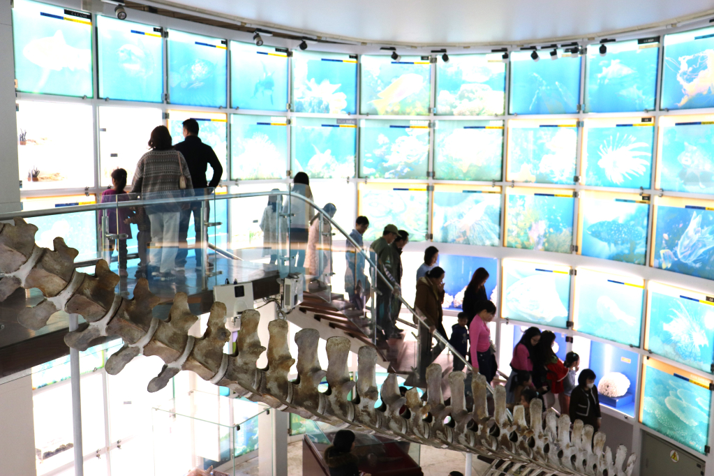 Du khách tham quan Bảo tàng Quảng Ninh. 