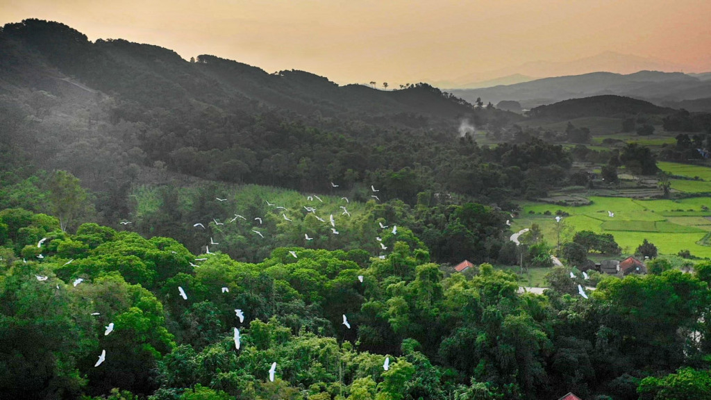 Herds of storks are hovering in the sky of the village, making visitors overwhelmed and fascinated.