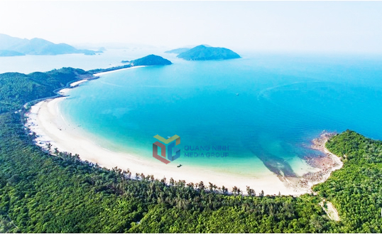 Rừng trâm mốc cổ ở đảo Minh Châu thuộc Đặc khu Vân Đồn (Ảnh TL)